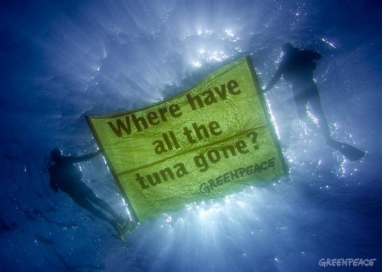 thoughts about life, thoughts on life, thoughts for life, good thoughts about life, deep thoughts about life, thoughts of life, rego's life, musings episode 45 show some cooperation life's not hard, episodic musings of a quintessential entrepreneur, thoughts