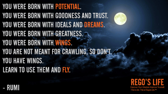 Musings Episode 69 Slow Down, Rego's Life Musings Episode 69 Slow Down, Musings Episode 69 Slow Down Rego's Life, Rego's Life, slow down, what's the rush, enjoy life, how to enjoy life, life goes by pretty fast, ferris beuller, how to avoid the rat race, stop and smell the roses, you only live once, life, thoughts, you were born with potential rumi quotes rego's life quotes